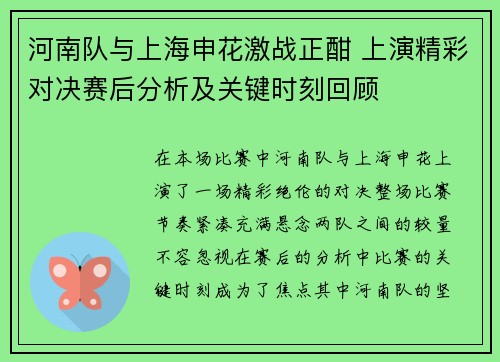 河南队与上海申花激战正酣 上演精彩对决赛后分析及关键时刻回顾