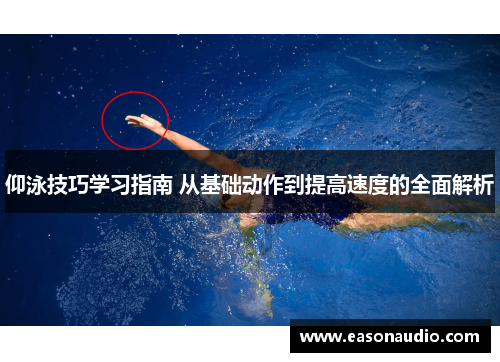 仰泳技巧学习指南 从基础动作到提高速度的全面解析