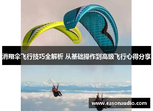 滑翔伞飞行技巧全解析 从基础操作到高级飞行心得分享